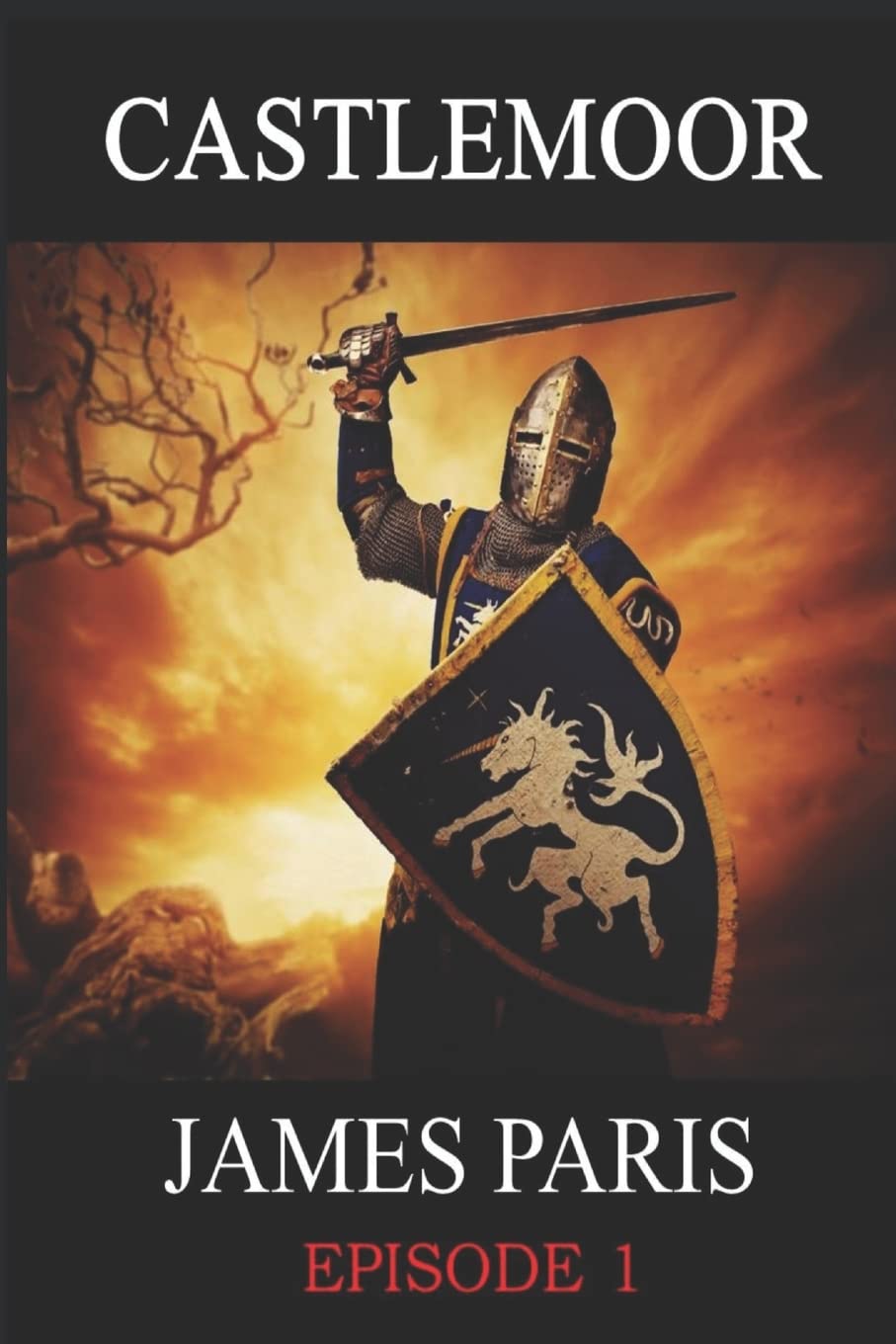 Castlemoor: Volume 1 (Knights Templar Thriller)