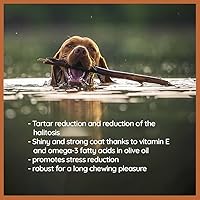 Vista 5 de Wildfang® Palitos masticables de madera de olivo para perros, pequeños - Juguetes masticables resistentes para masticadores agresivos, juguetes