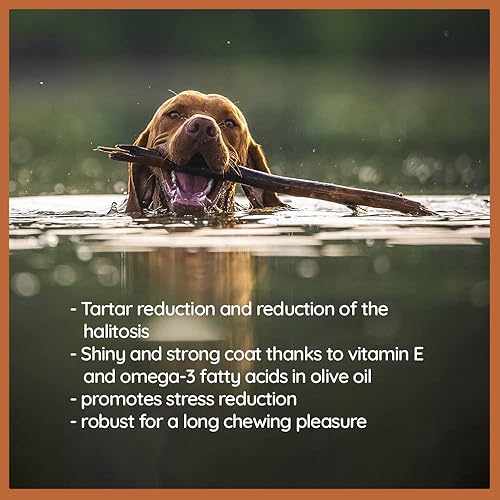 Miniatura 5 de Wildfang Palitos masticables de madera de olivo para perros, pequeños - Juguetes masticables resistentes para masticadores agresivos, juguetes