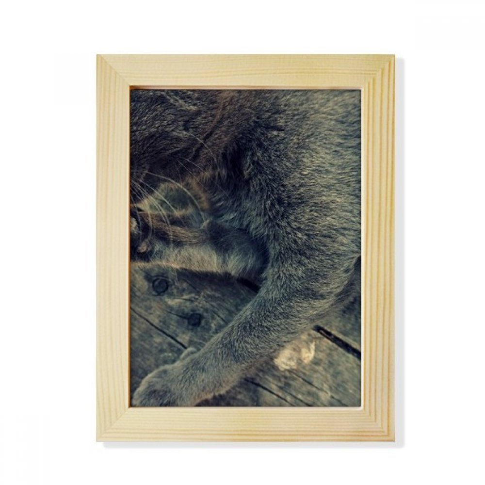 Marco de la foto de sobremesa estilo pintura de gato gris con fondo de escritorio de madera