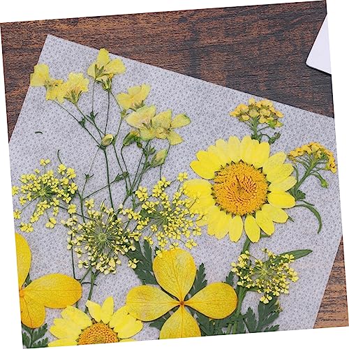Hohopeti 1 Conjunto De Flores Secas Para Joias De Resina Folhas De Flores Prensadas Flores Secas Múl