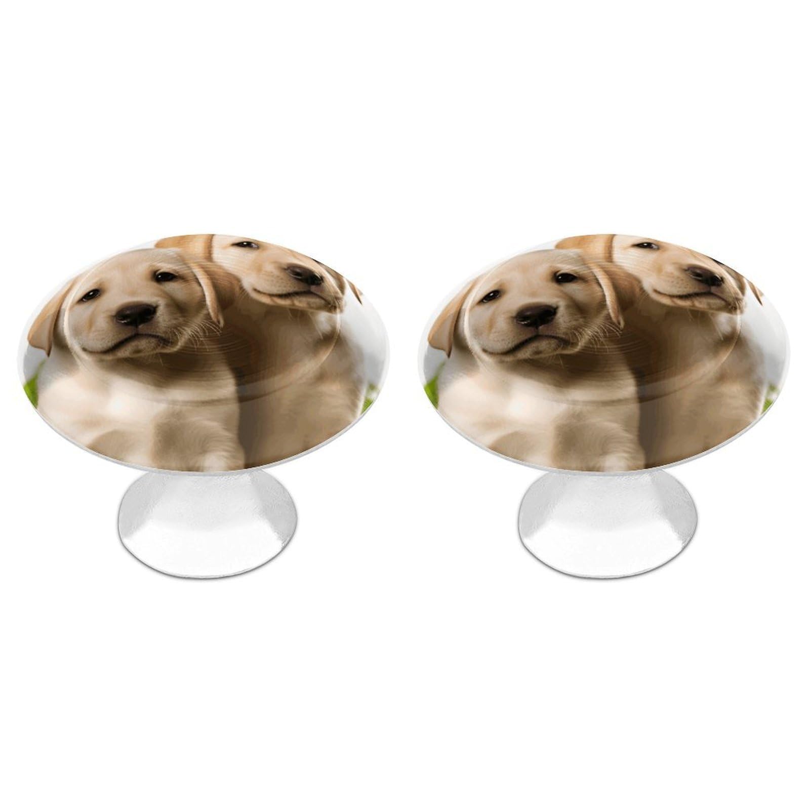 Vstadank Style Funny Labrador Puppy Dog Drawer Pulls Sturdy Stainless Steel Door Handle Round Cabinet Knobs Fashion Dresser Drawer Knobs Door Pulls Exquisite Cabinet Handles Furniture Pull 2Pcs