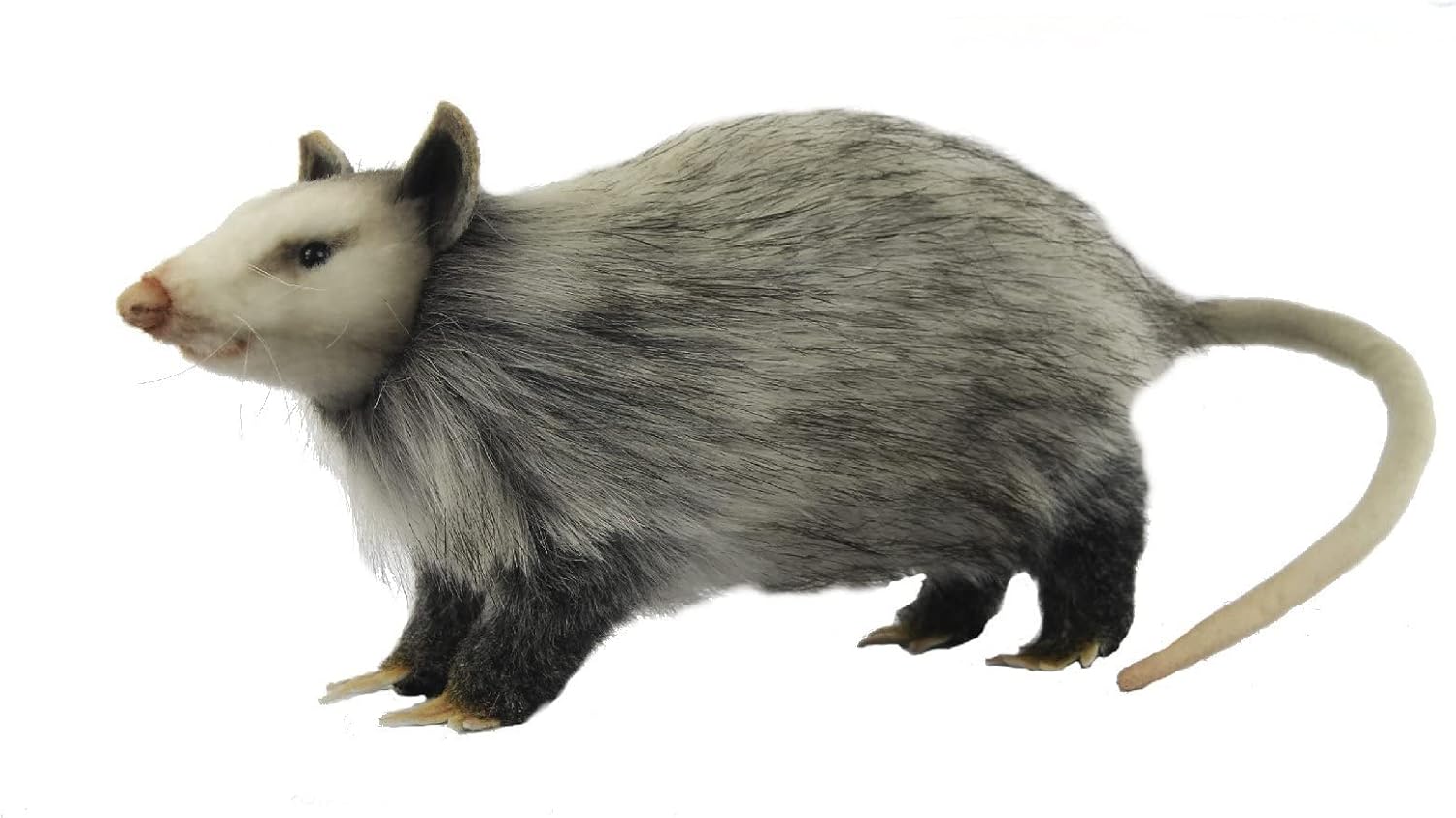 Opossum 12″ (8041)