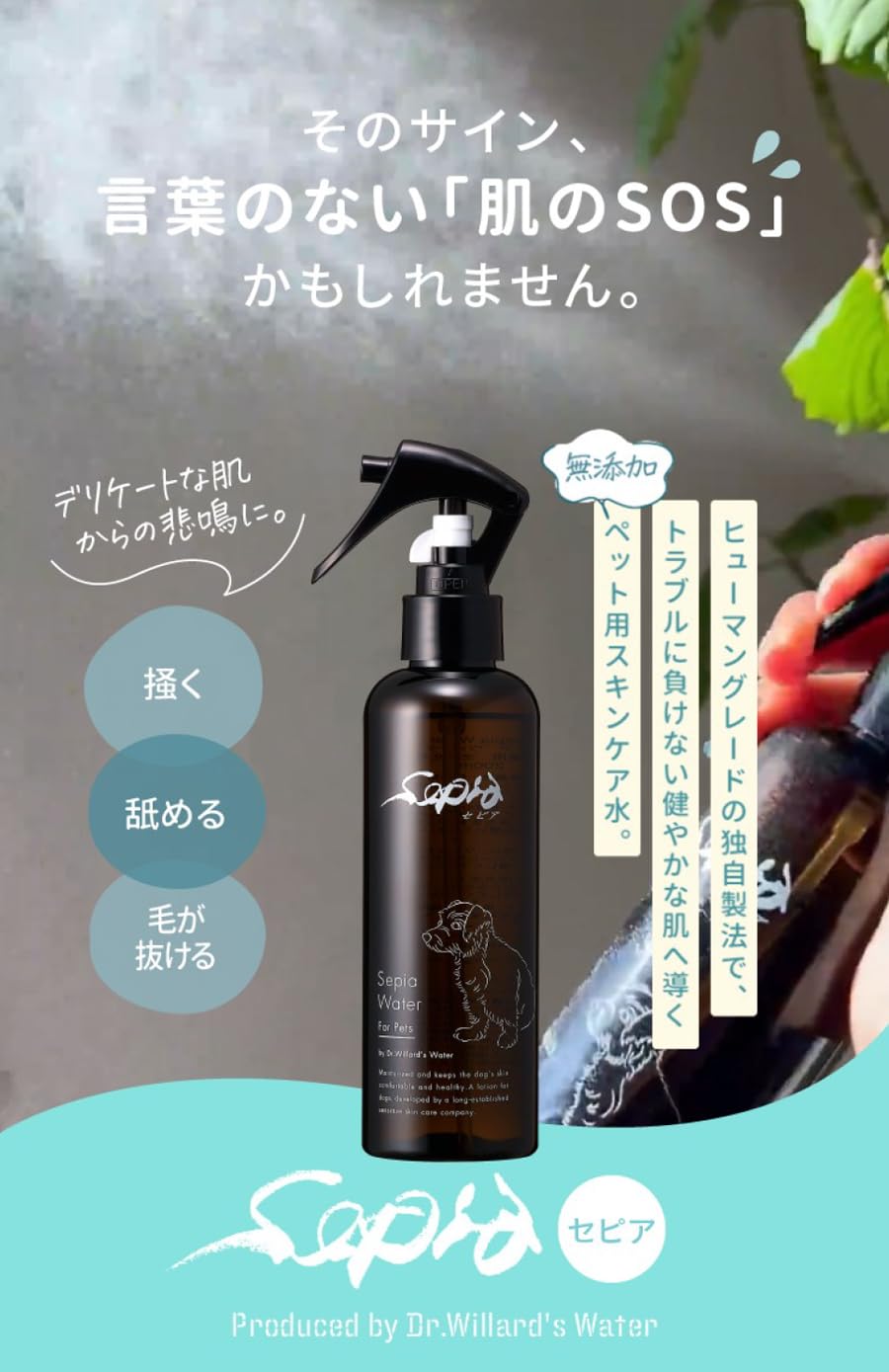 Amazon | 【獣医監修】 セピアウォーター 200mL 犬 猫 ペット