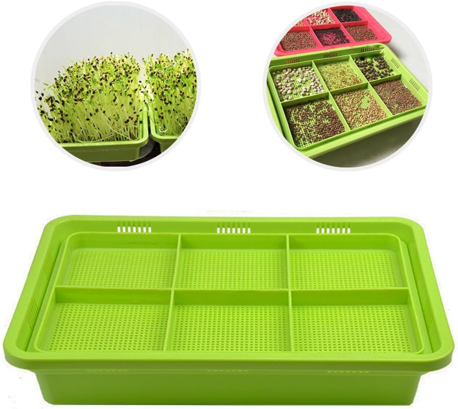 Sprout Tray 6-Cell Double-layer Extra Thick Soil-Free Healthy Wheatgrass Grower Seed Sprouter 12.6x8.7inch (Green)