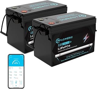 24V 300Ah(12V 300Ah 2 Pack) LiFePO4 Battery Built-in 200A BMS,Rechargeable Lithium Battery, 10000+ Deep Cycles, Pefect for Solar systerm,RV,Camping,Battery Backup,Marine and Home Energy Storage