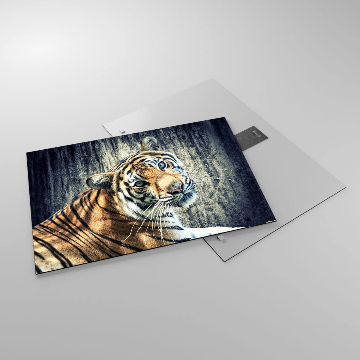 ARTTOR Vidrios Decorativos Bosque Riachuelo Trópico Naturaleza Cuadro Sobre Vidrio Moderno 30x30cm Decoracion Salon Cocina Cuadros Pared Impresiones Impresión En Cristal Wall Art Prints GAC30x30-2960