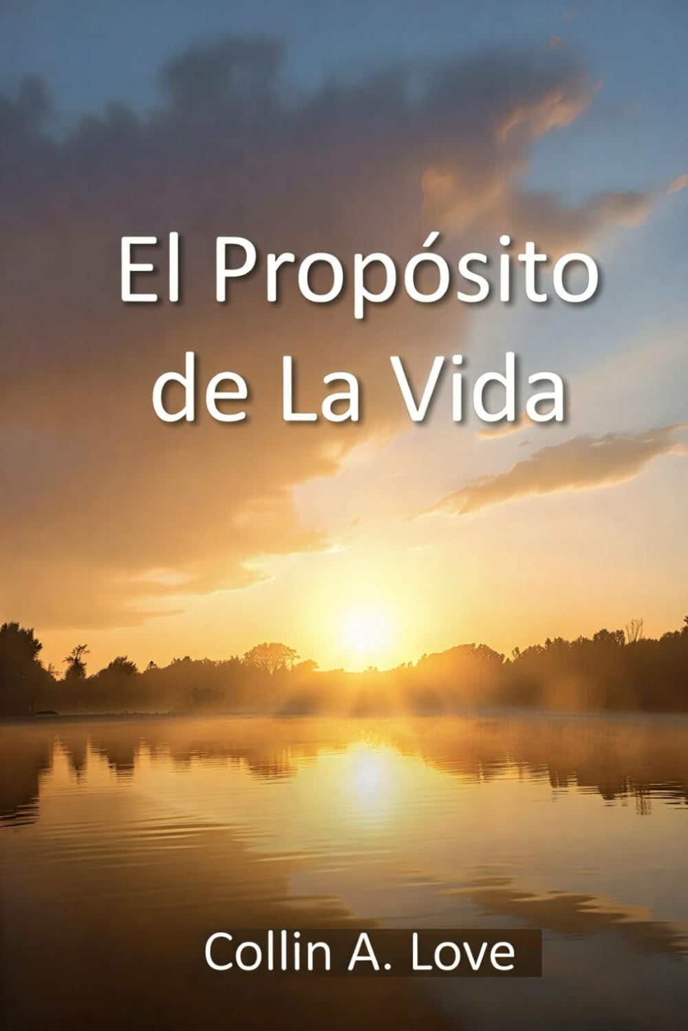 El Propósito de La Vida: The Purpose of Life (Spanish Translation)