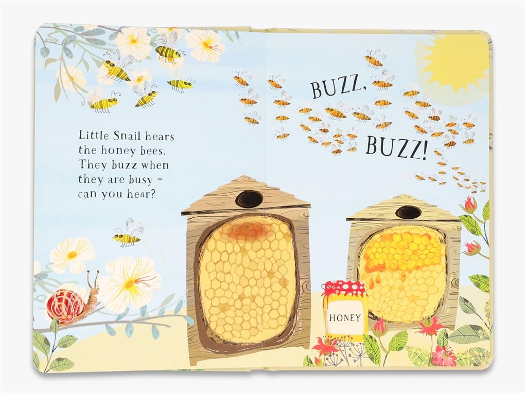 Little Snail's Book of Bugs /anglais
