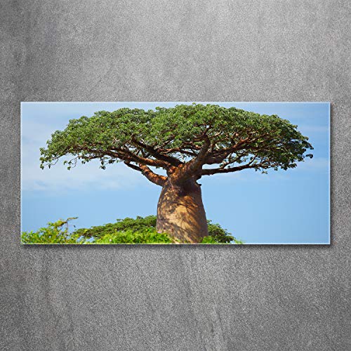 Impression sur verre de baobab 120x60 cm comme tableau de cuisine