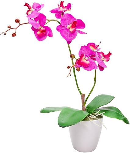 Vista 14 de Restaurantware Myrtle de crespón morado sintético, mini, maceta negra, plantas sintéticas, 13.4 pulgadas, caja de 1 unidad