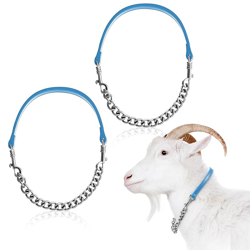 Coleira ajustável para cabras Misdary com corrente de ferro e couro sintético azul, pacote com 2