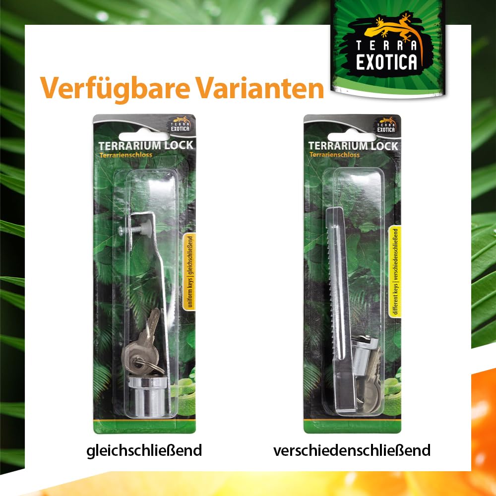 Terrarienschloss mit Schlüssel - Schloss für Terrarien als Glastürschloss/Vitrinenschloss - Schlösser für Ihr Terrarium zur Selbstanbringung (Gleichschließend, 6 Stück)