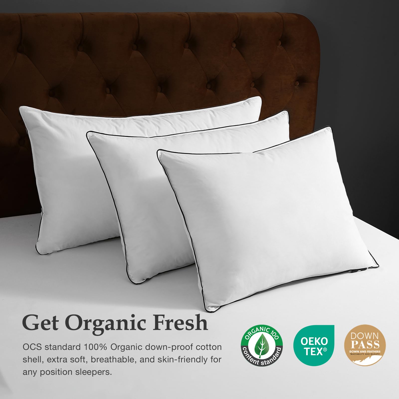 BEFA NATUR Made in Germany, kussens met 3 slaapkamers, 50 x 50 cm, materiaal: 90% dons en 10% veren, geschikt voor mensen met een allergie (nomite), Öko-Tex 100 klasse 1, EN standaard