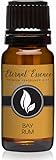 Bay Rum Premium Grade Fragrance Oil - 10ml - Scented Oil