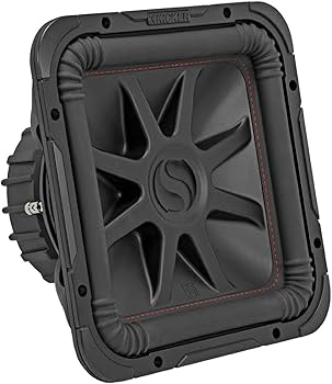 61CejOYJzuL._AC_UF350,