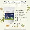 Naturalist Sprouted Millet Mix - 400g | 5-Grain Multigrain Flour | Ragi Jowar Bajra Foxtail Little Millet | Gluten Free | Rich in Fibre Protein Iron | Stone Ground Cold Milled | No Preservatives | Healthy Roti Dosa Porridge Mix gallery image