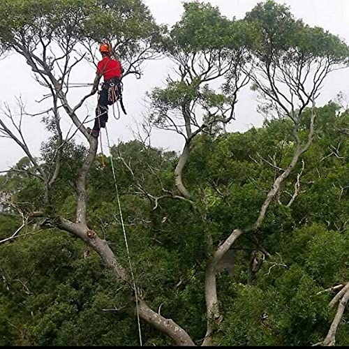 Yuzenet Braided Polyester Arborist Rigging Rope (3/8Inch X 100Feet) High Strength Outdoor Rope For Rock Climbing Hiking Camping Swing, Armygreen #TOP5