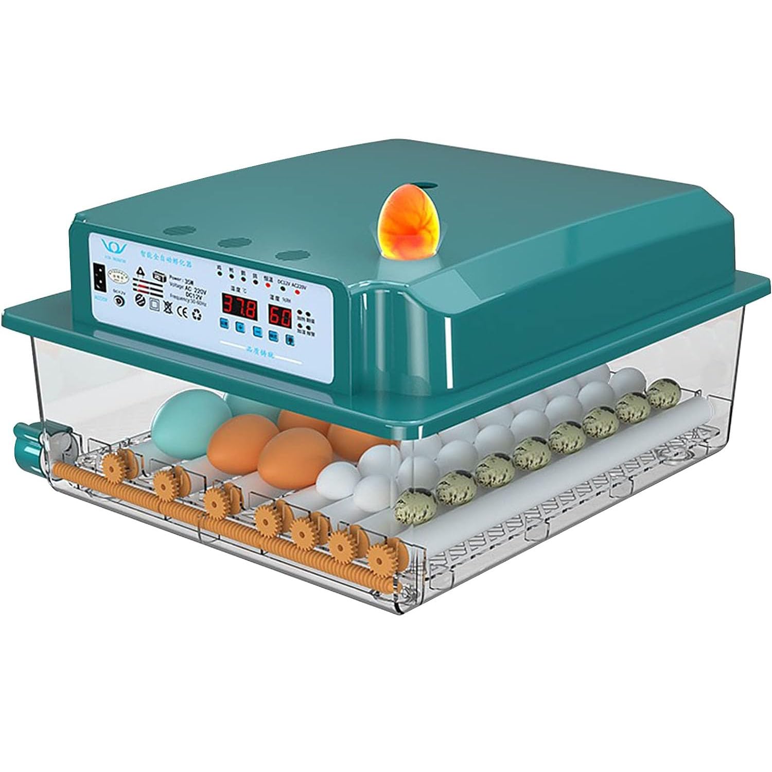 Couveuse incubateur automatique d'œufs de poulet avec contrôle thermique