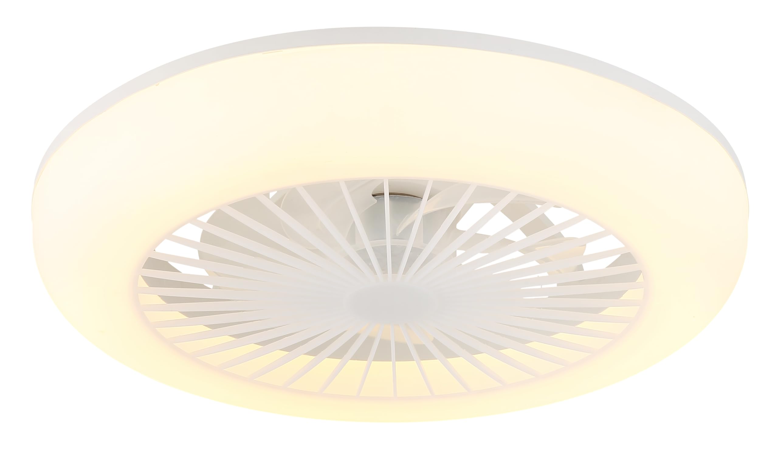 Deckenventilator Kunststoff weiß matt, Kunststoff transparent, Kunststoff opal, dimmbar, mehrere Stufen über Wandschalter, Farben fixierbar, Memoryfunktion, Nachtlicht, Timer, Fernbedienung, Batterie