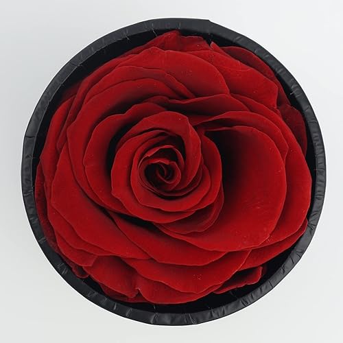 Miniatura 2 de Yamonic Rosas reales preservadas en una caja regalo de rosa para ella rosas hechas a mano que duran de 2 a 3 años regalo para el día de San Valentín