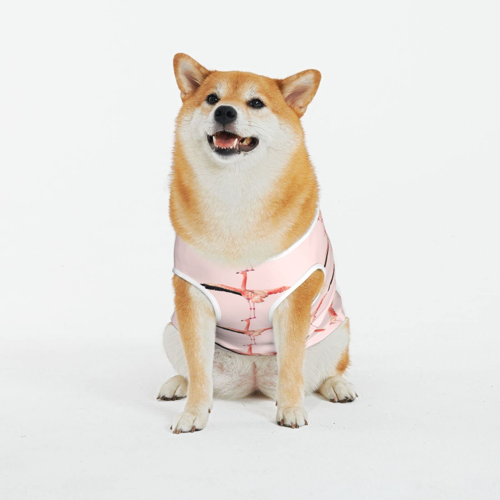T-shirt flamant rose pour grand chien vêtement léger pour balades estivales