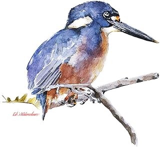 Kingfisher - Long live the King" Print Watercolour,Kingfisher art,Kingfisher print,Kingfisher painting,Kingfisher wall art.