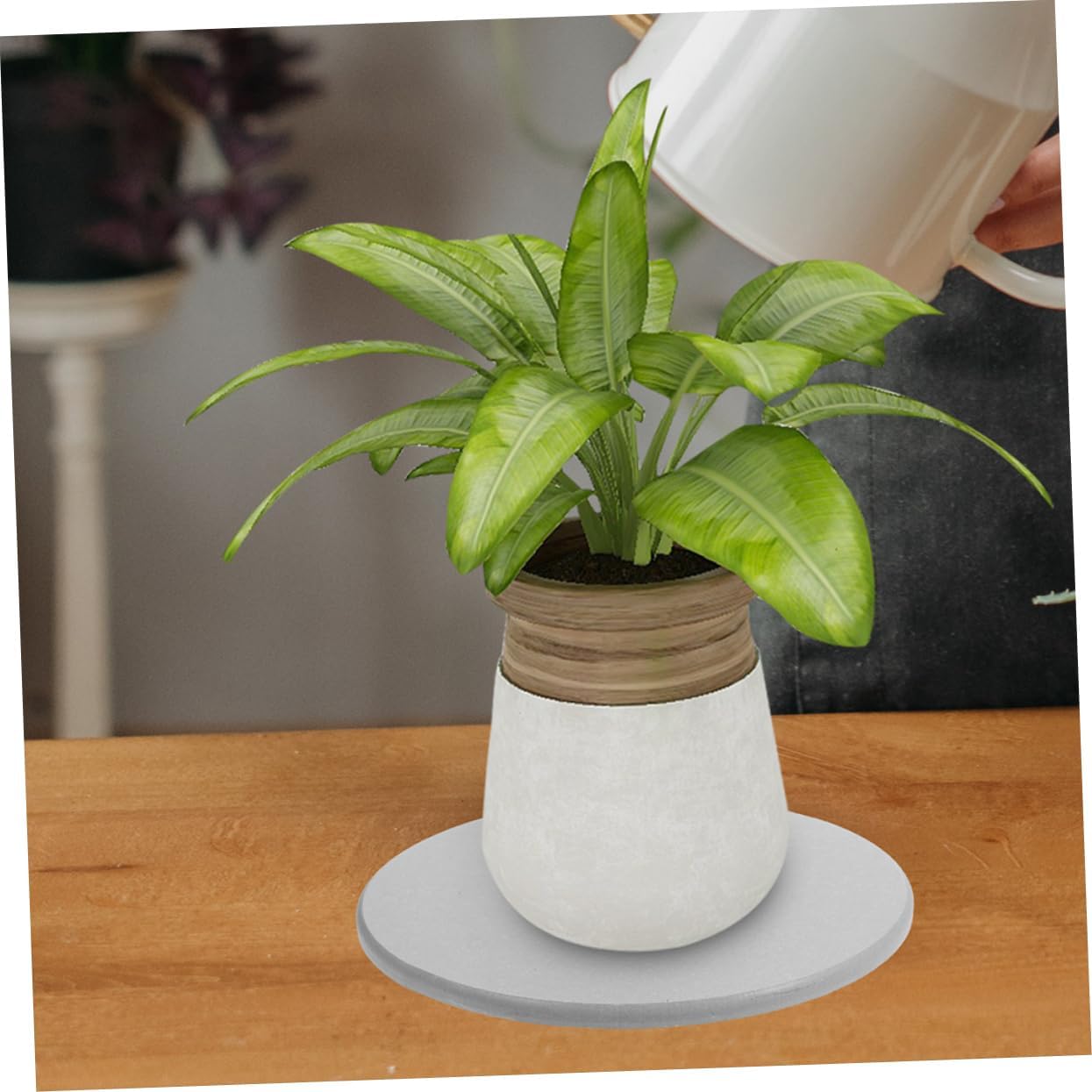 4pcs Heavy Duty Plant Saucers for Use Water Absorption Trays to Collect Excess Drainage Diatom Mud Material for Flower Pots and Planters