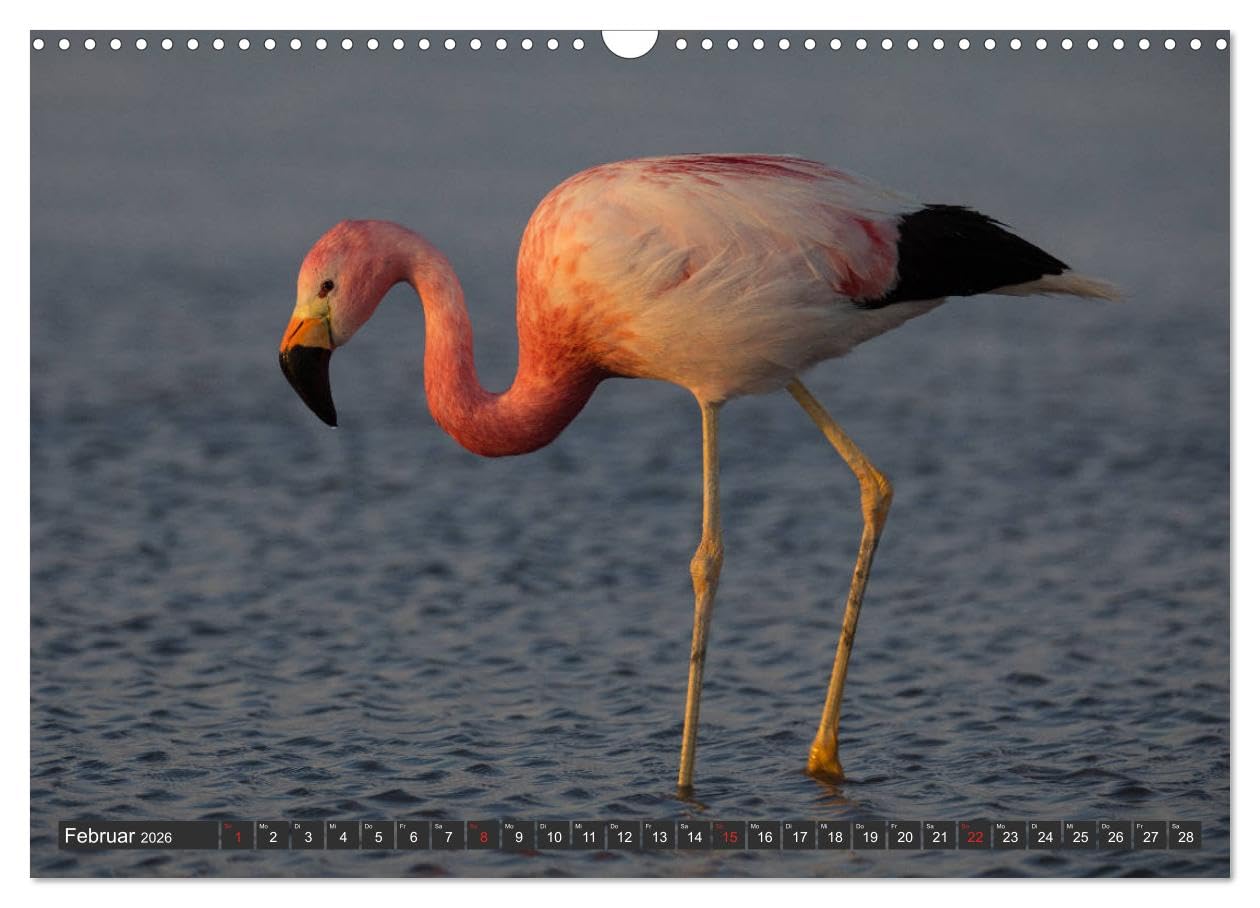 Traumwelt Chile (Wandkalender 2026 DIN A3 quer), CALVENDO Monatskalender (CALVENDO Natur)