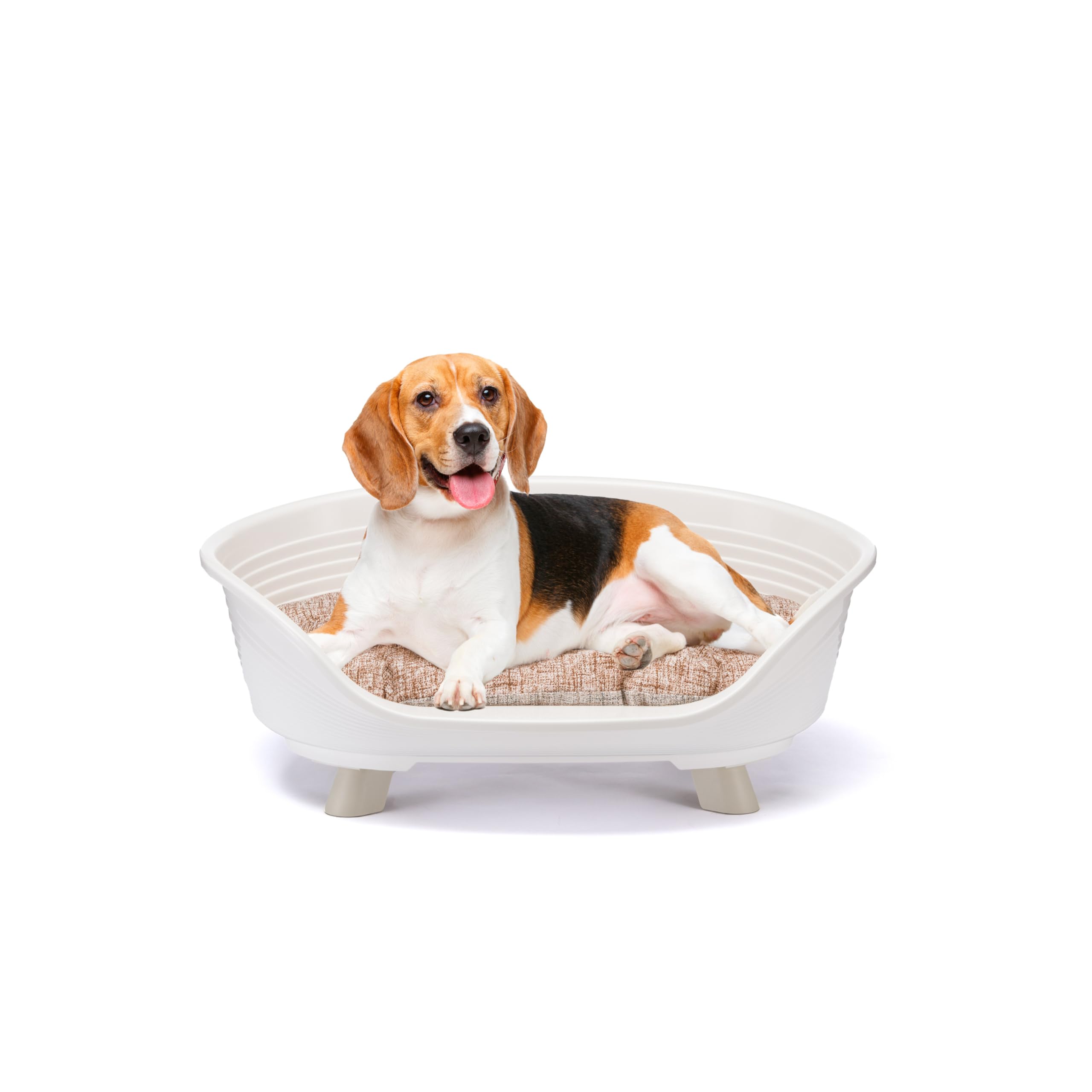 Corbeille - FERPLAST - THRONE 6 - Avec coussin relax - Blanc