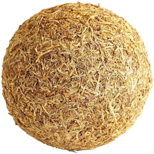 Cyan Design 07295 St. Augustine Filler, Medium