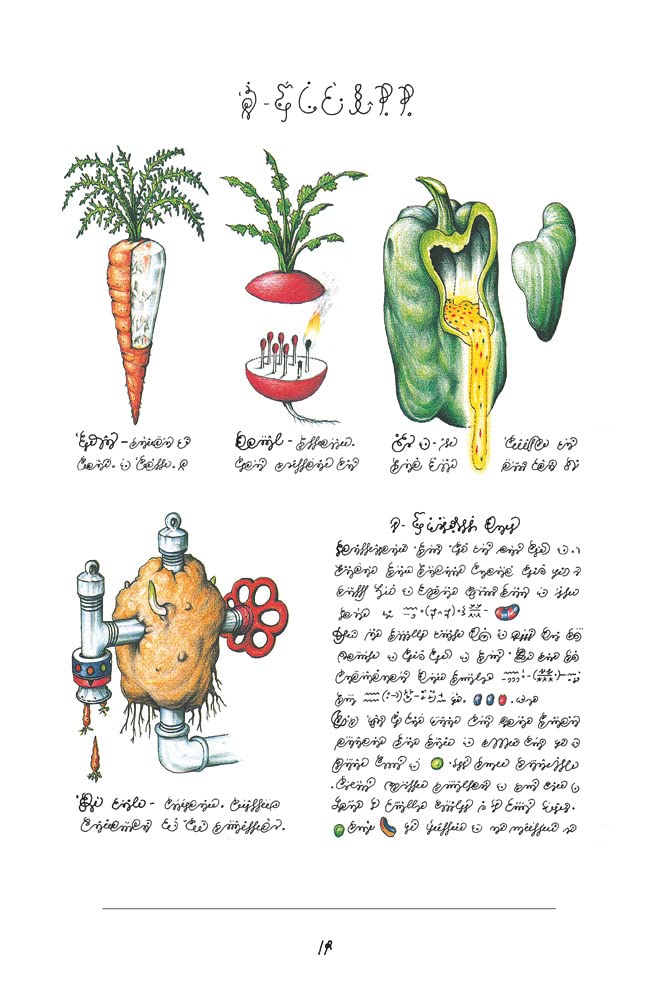 Codex Seraphinianus 40° ita. Ediz. speciale