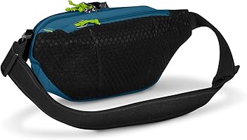 Amazon | Pacsafe Eco盗難防止ウエストパック。, タイダルティール