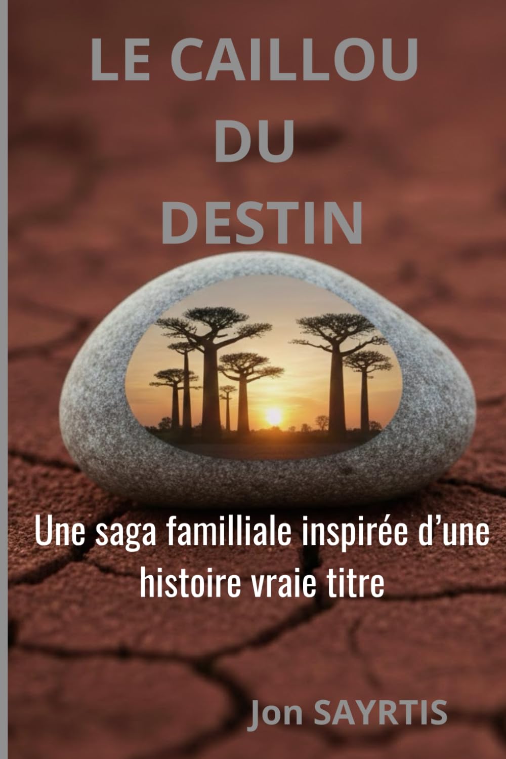 Le Caillou du destin: Une saga familiale inspirée d'une histoire vraie