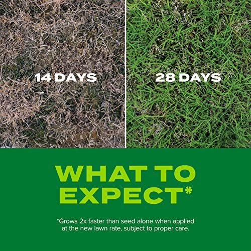 Scotts Turf Builder Rapid Grass Bermudagrass, 4 lbs. - image 4