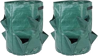 Cabilock Saco de cultivo de morango com 2 peças, bolsa respirável para plantação de morango, recipiente para plantação de morango, tomate quente, erva, batata, vegetais
