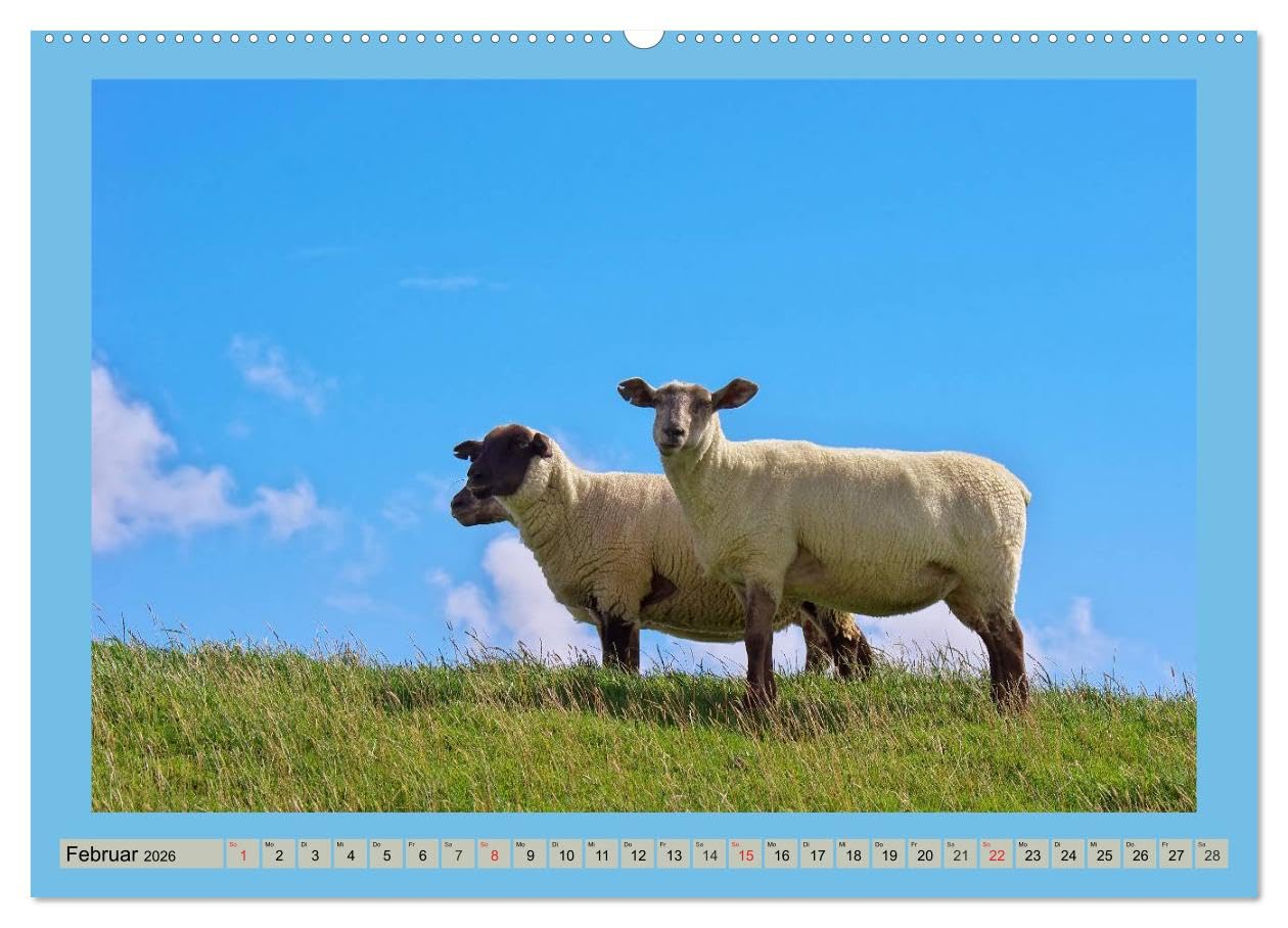 Büsum an der Nordsee (Wandkalender 2026 DIN A2 quer), CALVENDO Monatskalender: Fotografische Impressionen eines Sommers in Büsum. (CALVENDO Orte)