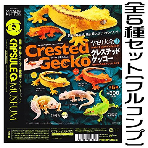 Amazon | カプセルQミュージアム ヤモリ大全2 クレステッドゲッコー 