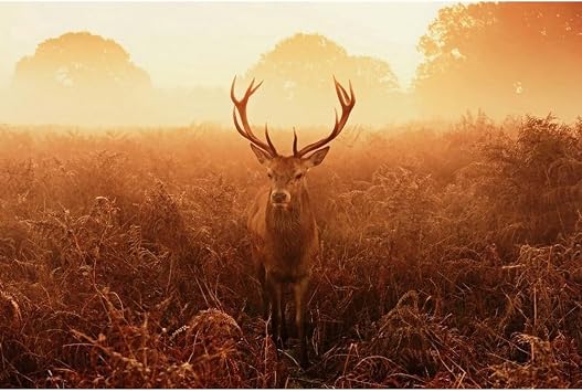 ArtDirect VoV Unframed Art Print Giclee Poster by Fabrowski, Robert - Ready for Framing with Customization Sizes 10x7, 14x9, 20x13, 36x24, 48x32, and 60x40 Inches