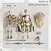 Osmanthus bloom T13 Action Figure Set,Skeleton Knight Action Figures,Knight Action Figures,Dummy 13,Lucky 13 Collectible Action Figure（Assembly Required） (A-Golden Skull Knight)