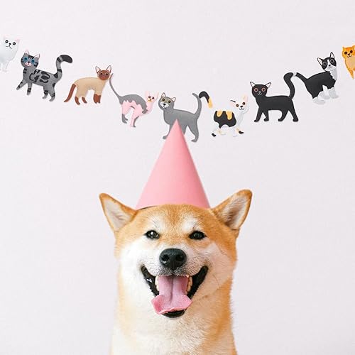 Miniatura 7 de WEBEEDY Juego de 12 piezas de fieltro para niños, kit de costura de fieltro para manualidades, peluches de fieltro, cosas de costura hechas a mano,