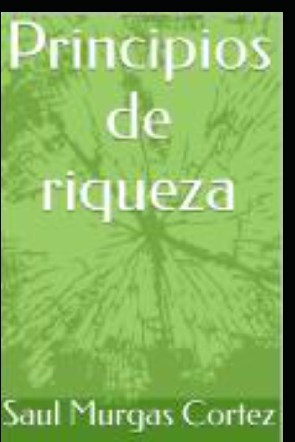 Principios de riqueza