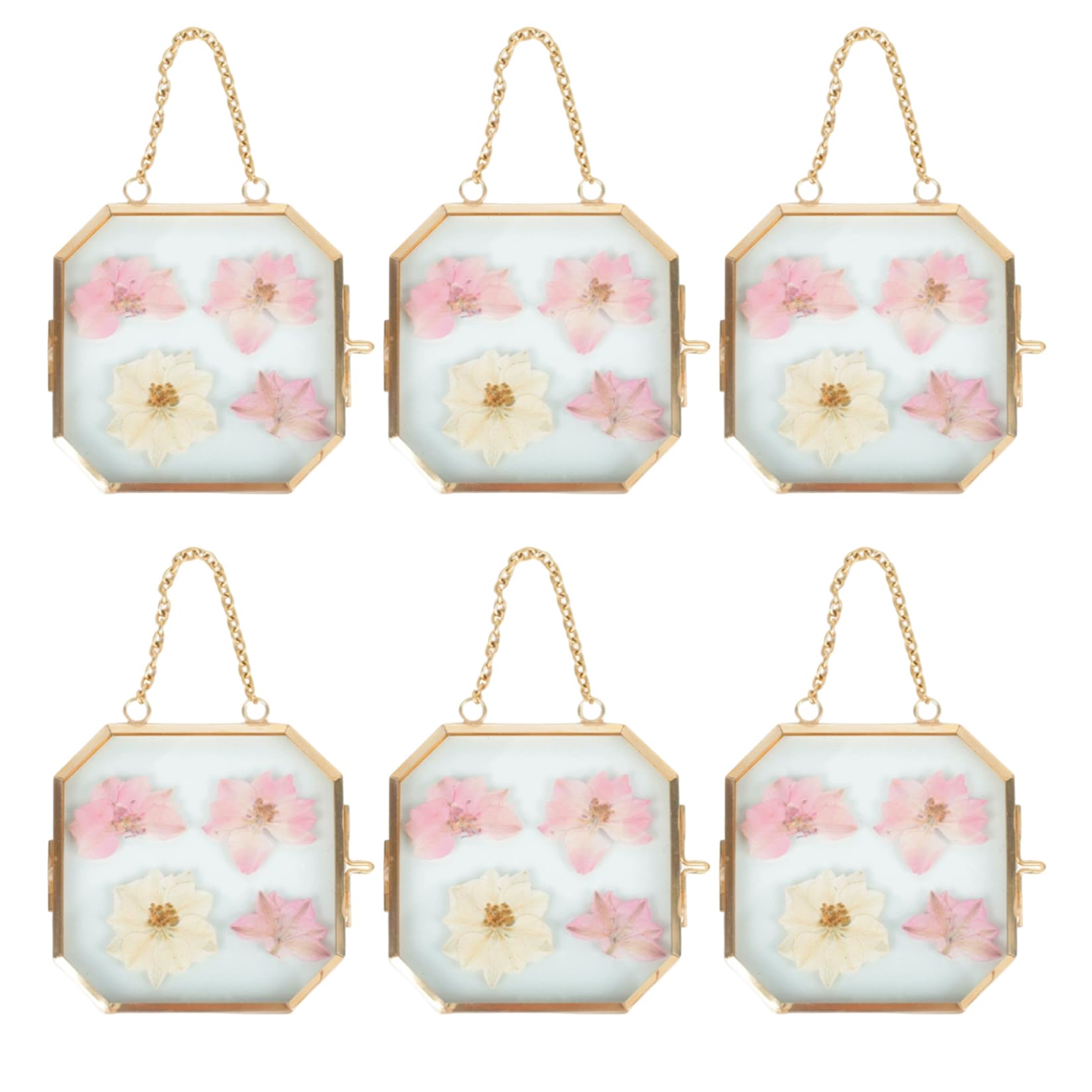 Cadre fleurs pressées laiton suspendu double verre octogonal lot de 6
