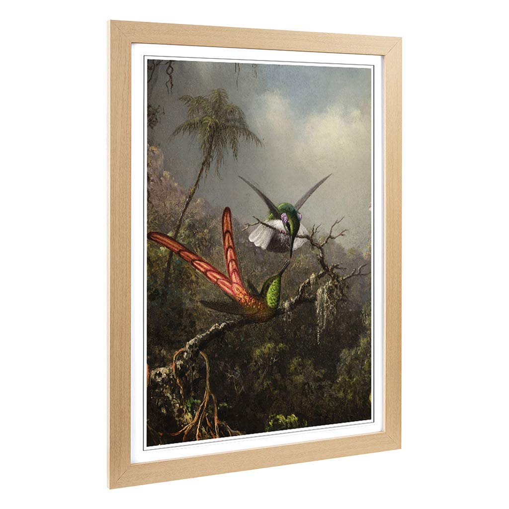 Big Box Art Framed Print of Martin Johnson Heade Orchid with Two Hummingbirds Design | Wall Art Picture| Home Decor for Kitchen, Living Room, Bedroom, Hallway, Oak, A2 / 24.5x18 Inch / 62x45cm