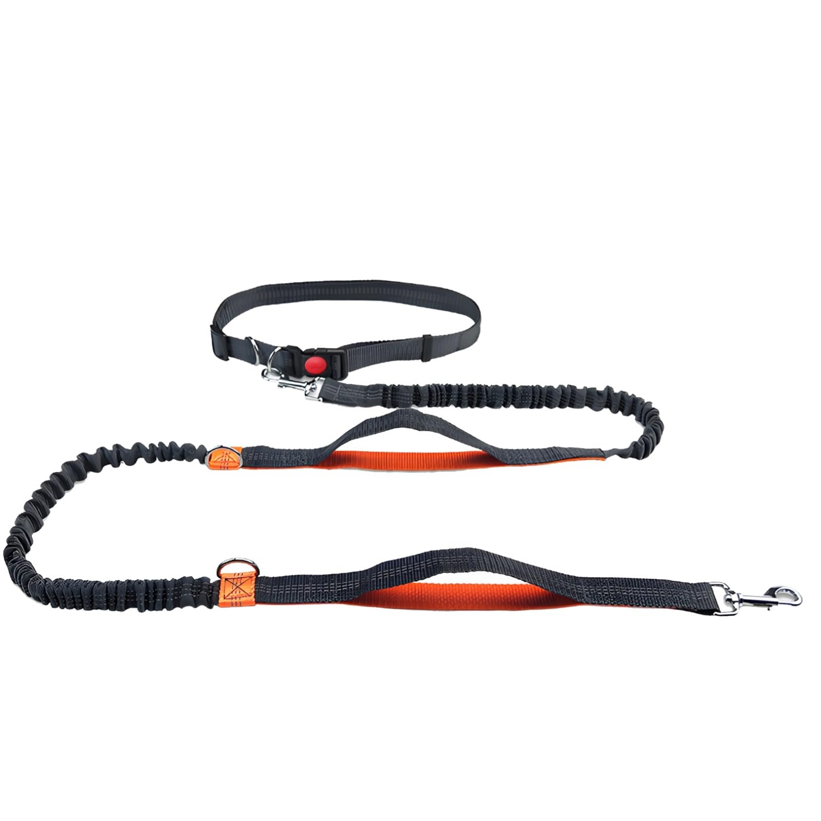 Laisse Bungee pour Chien Mains Libres, Laisse réfléchissante pour Petit Chien pour Courir, Ceinture réglable pour Humain, 5,4 à 7,9 ft