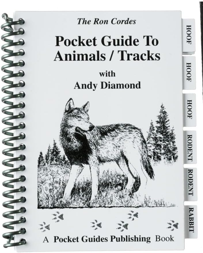 Pocket Guide - Outdoor Survival - Andy Diamond - Ron Cordes