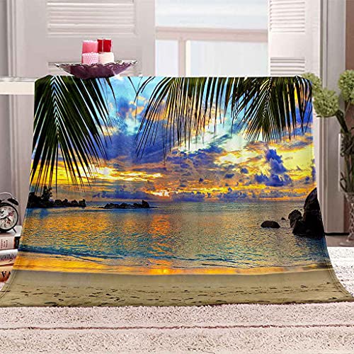 Couverture sofa 3D anti-froid en microfibre douce toutes saisons