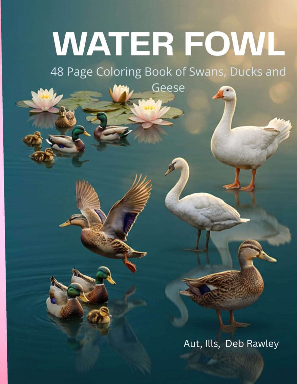 WATER FOWL: 48 PAGE COLORING BOOK OF SWANS, DUCKS AND GEESE