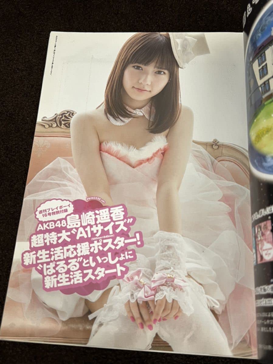 AKB48 島崎遥香 抽選 限定 非売品 当選品 B2 ポスター 希少 ぱるる