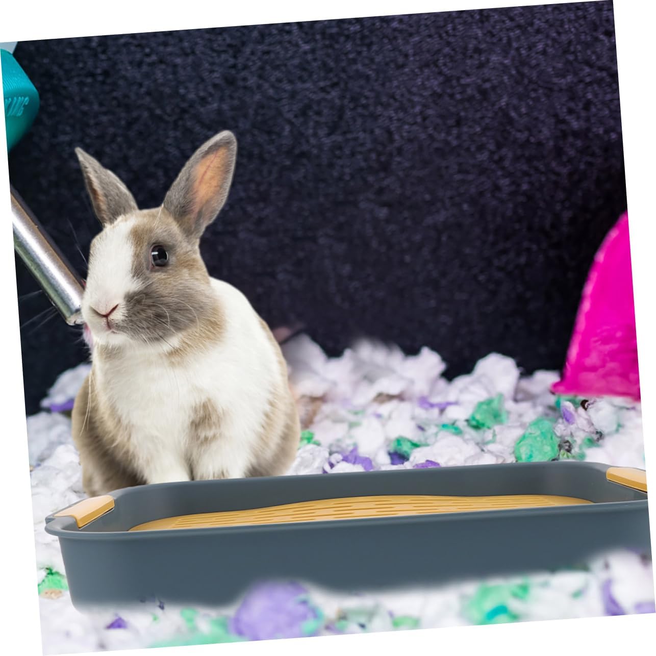BESPORTBLE 2pcs Small Animal Litter Box Compact Toilet for Training Detachable Design for Guinea Pigs Hamsters and Bunnies